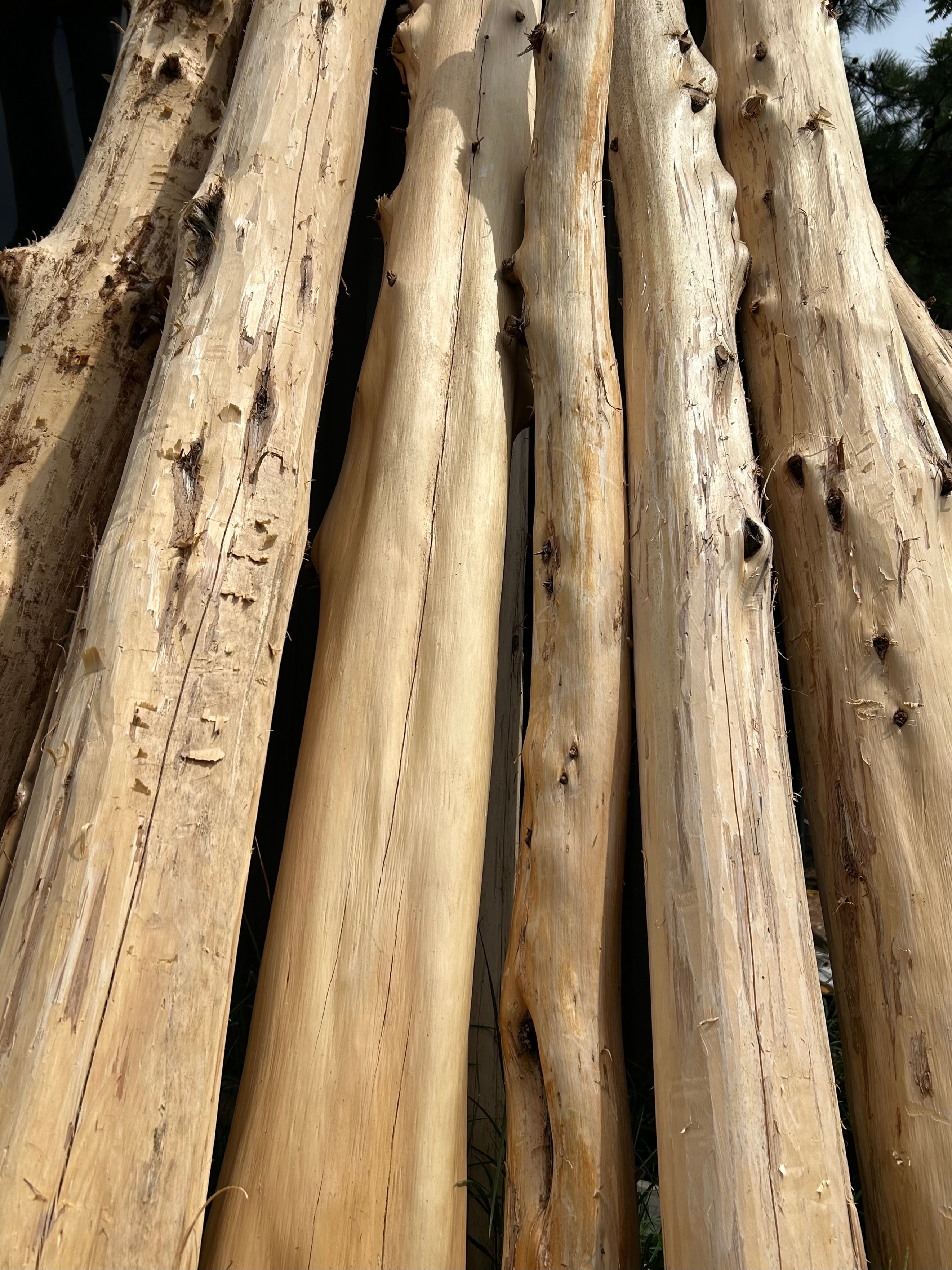 Cedar outdoor furniture — rustic and natural
