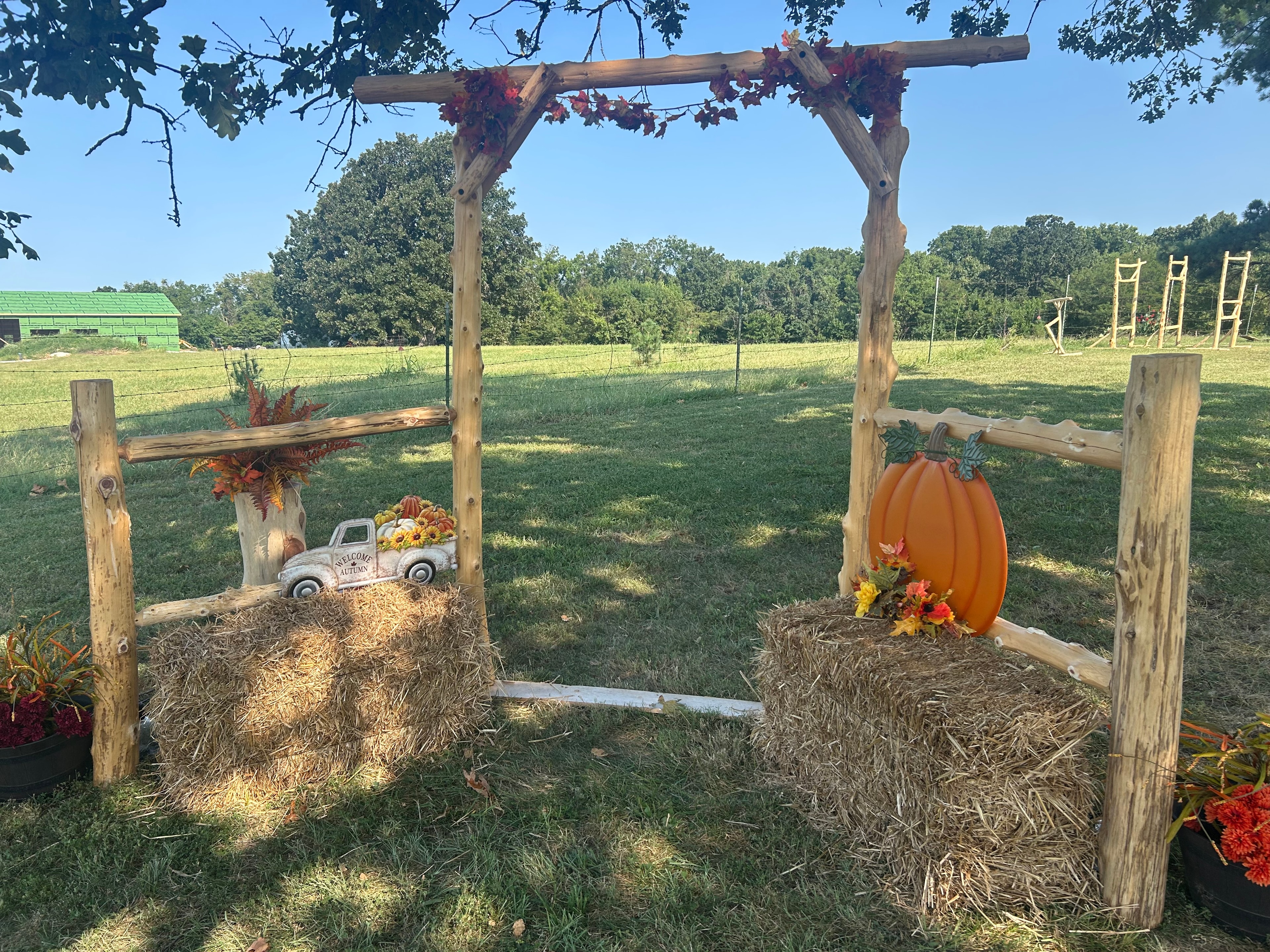 Cedar log garden arbor