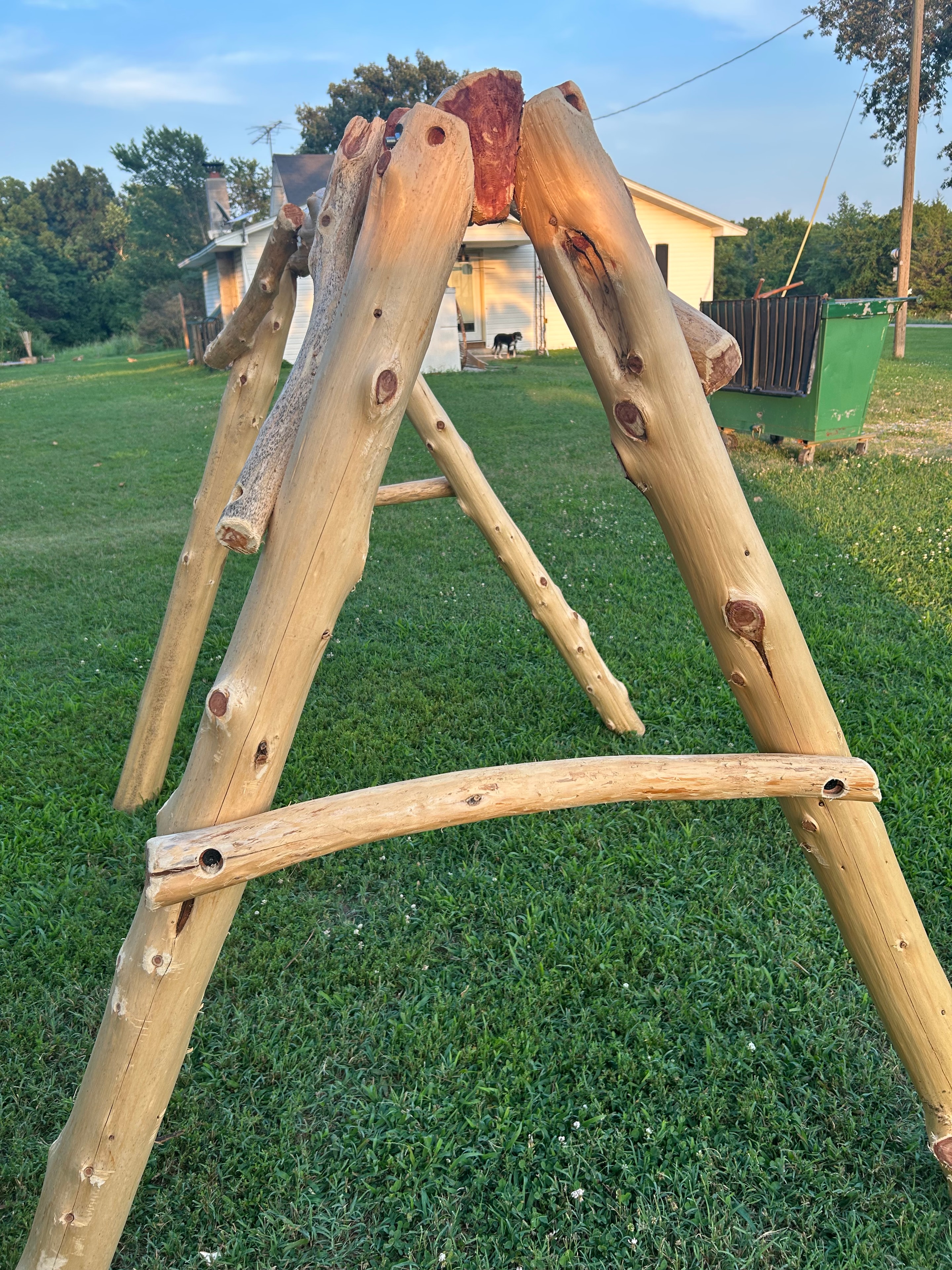 Cedar timber frame close-up in golden hour light